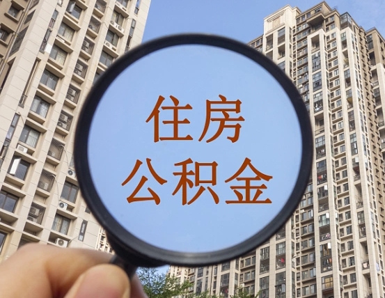 舟山公积金新政策9月1日起（公积金新政2021年7月15日起实施）